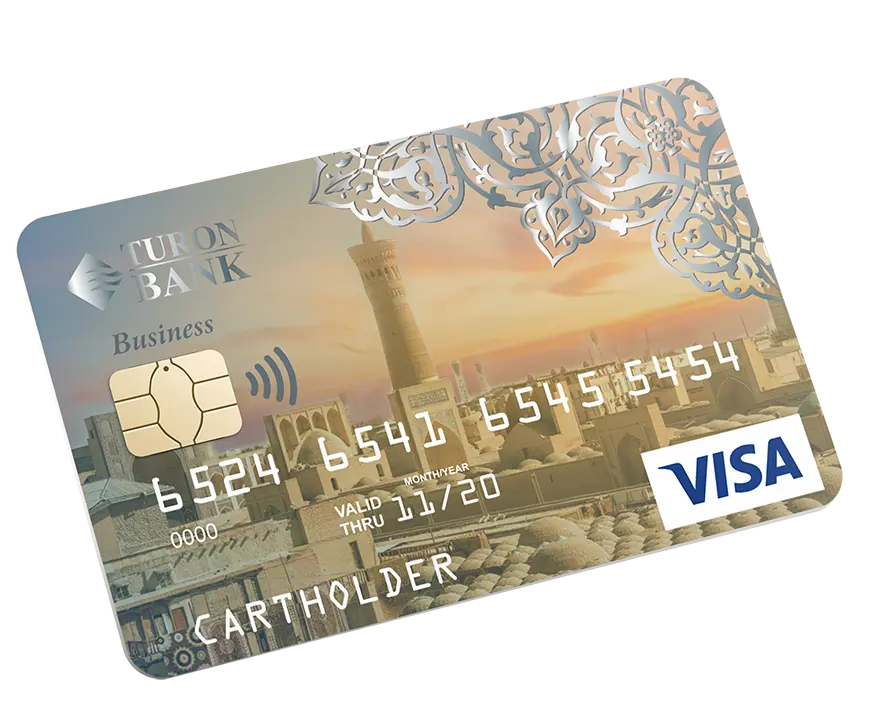 Visa Business