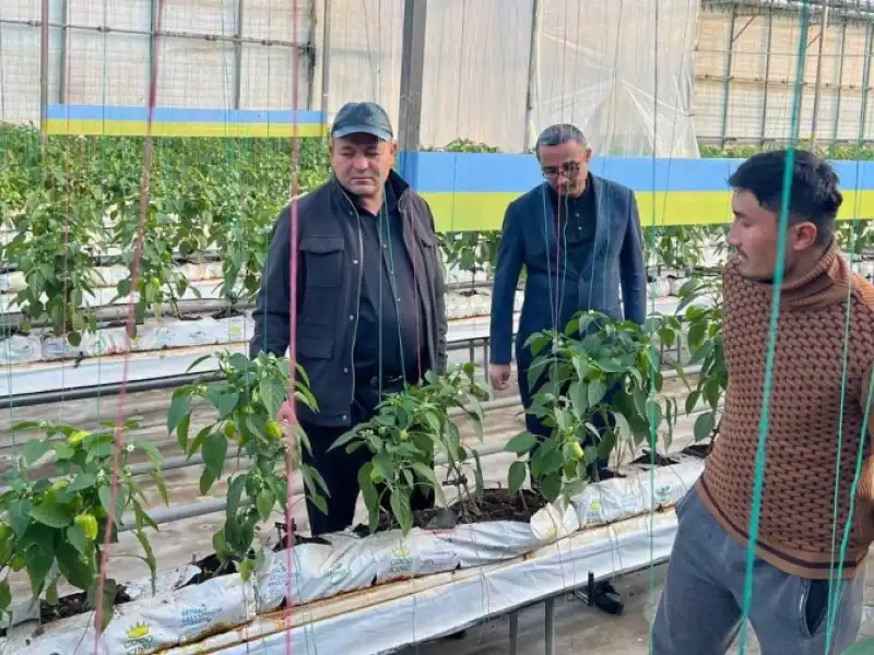 Tadbirkorlar bilan bevosita joyida!