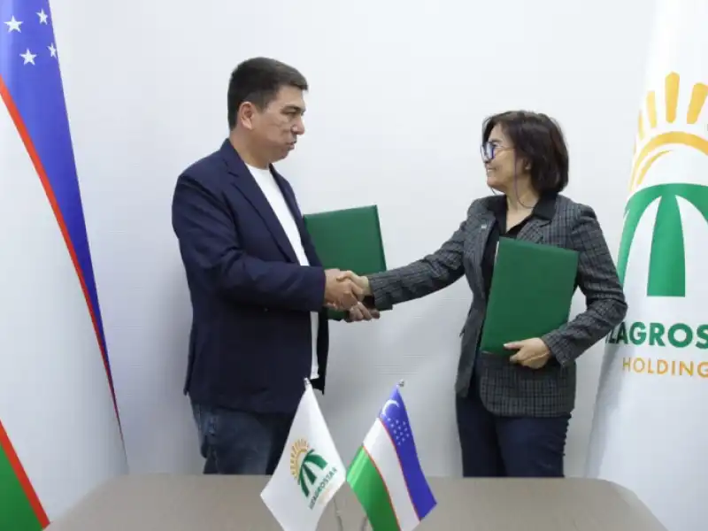 В сфере семеноводства картофеля налажено надежное сотрудничество.