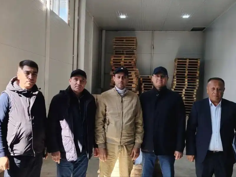 Misr uchrashuvlarining amaliy natijasi: Bulung‘ur Agrostar’ning urug‘chilik loyihasi yangi bosqichga...