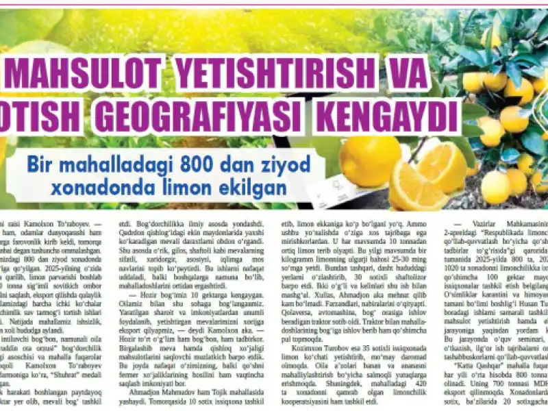 Limon mahsulotlarini yetishtirish va sotish geografiyasi kengaymoqda