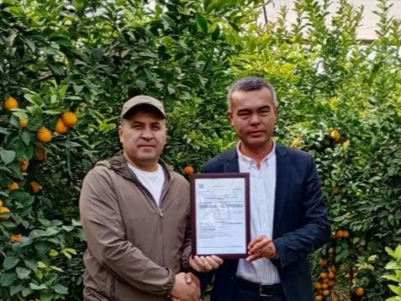 Международный сертификат GLOBALG.A.P. есть и у ООО "Golden Lemon Fruit"!