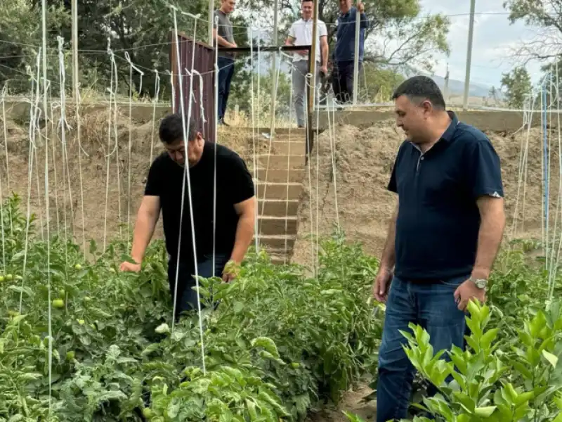 “Mahalla” loyihasi doirasida Jizzax viloyatidagi istiqbolli loyihalar o‘rganildi