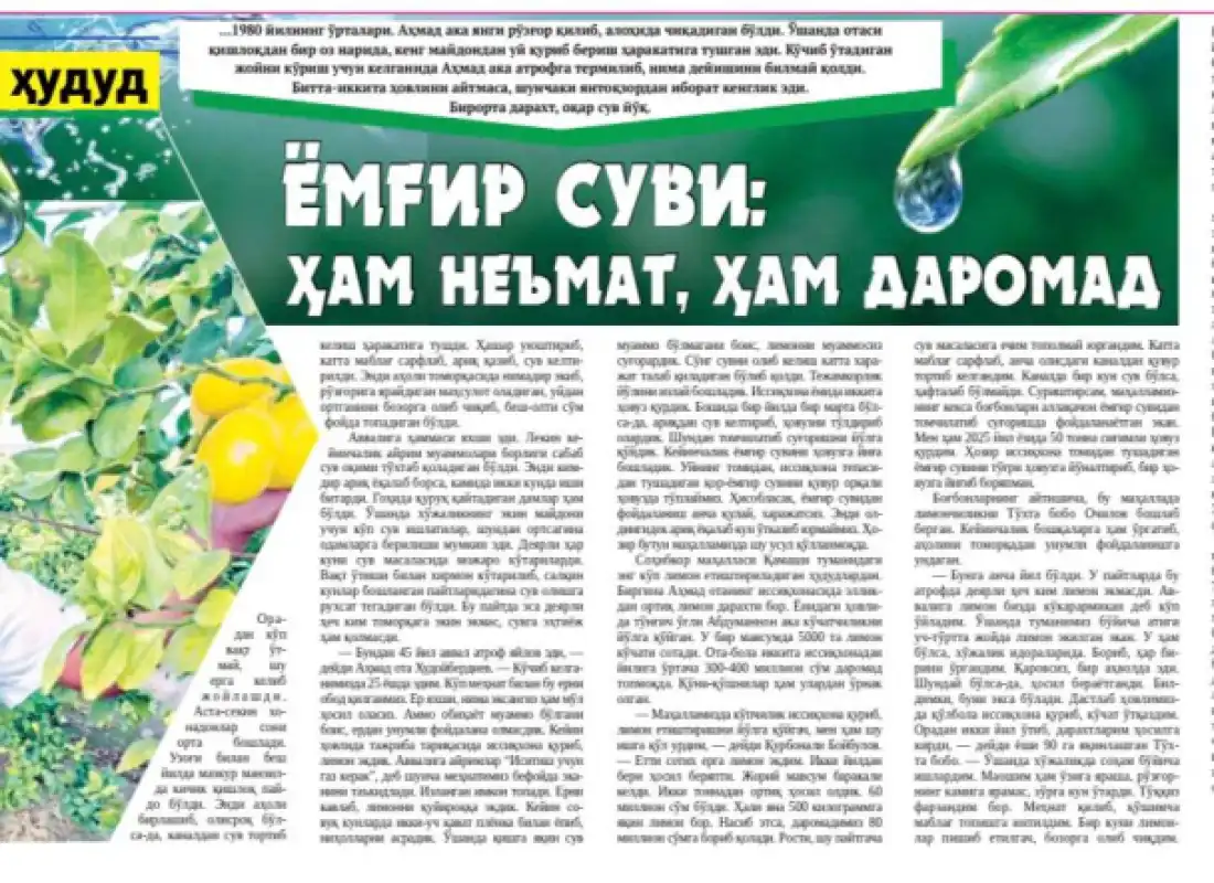 Yomg‘ir suvi: ham ne’mat, ham daromad