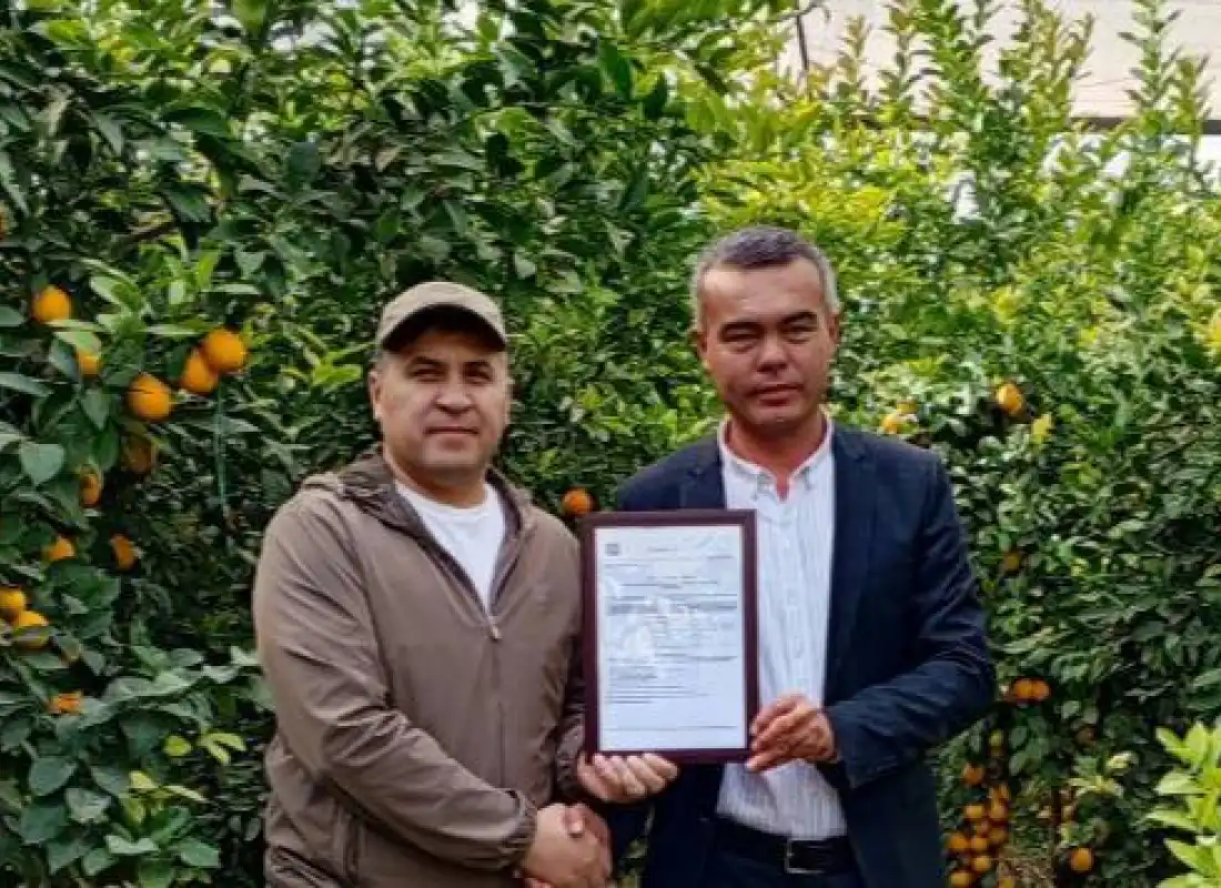 Международный сертификат GLOBALG.A.P. есть и у ООО "Golden Lemon Fruit"!