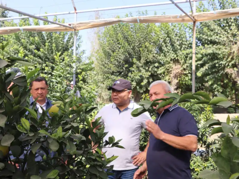 Участники республиканского семинара посетили современную теплицу клиента Туронбанк