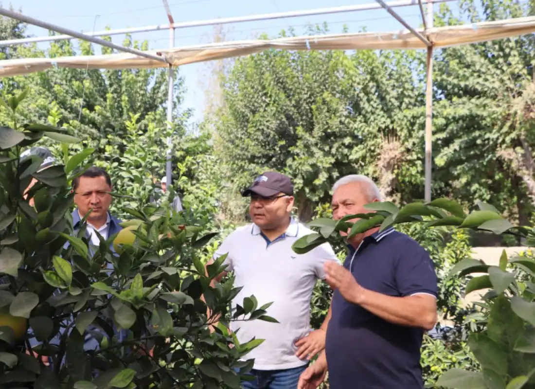 Respublika seminari ishtirokchilari Turonbank mijozining zamonaviy issiqxonasida bo‘lishdi