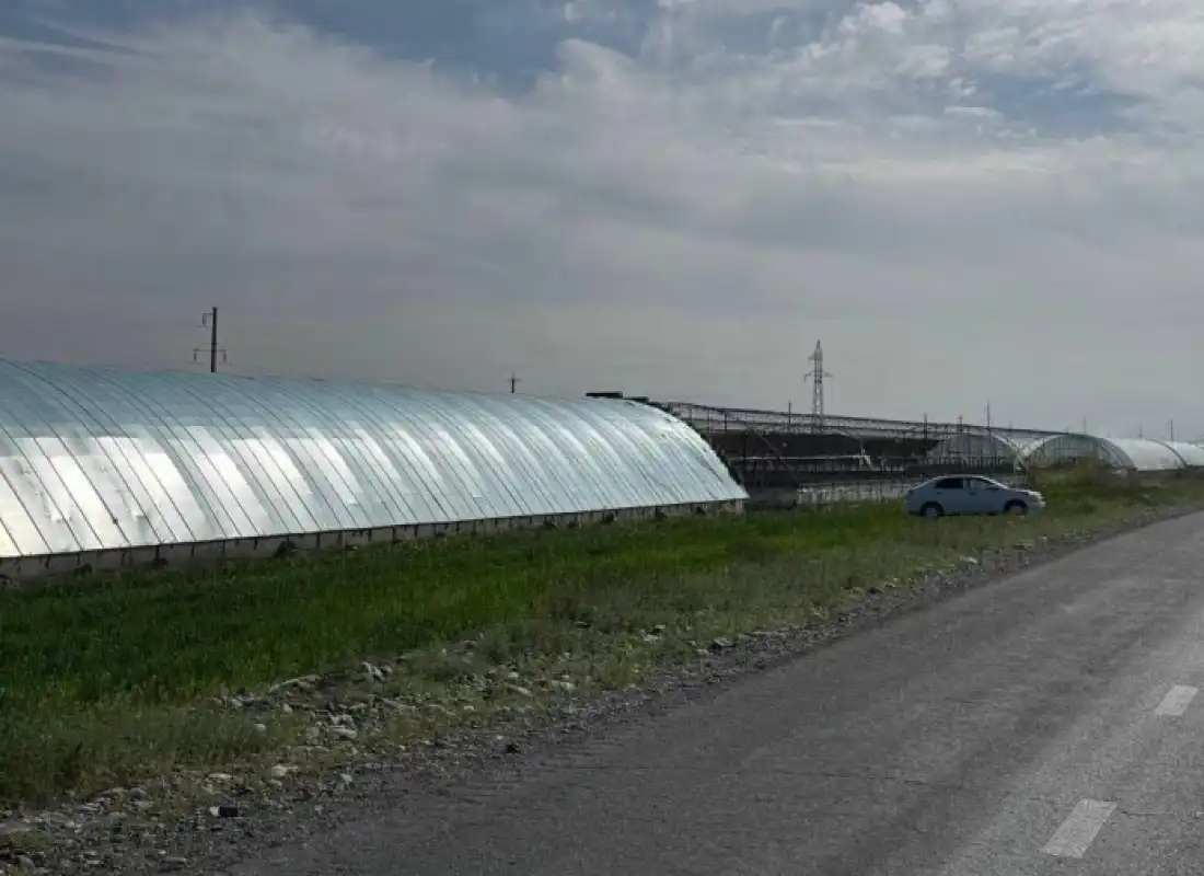 Farg‘onada issiqxona loyihalari jadallik bilan rivojlanmoqda