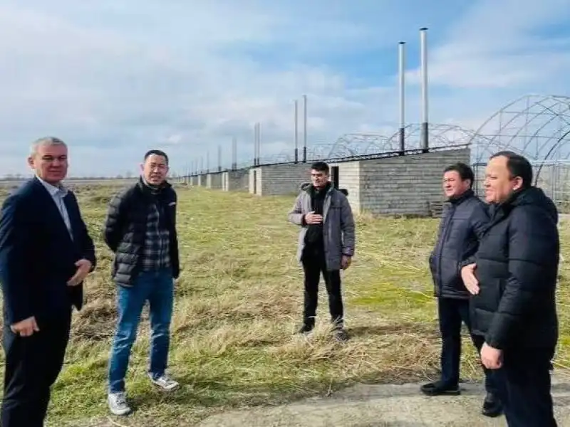 Sirdaryoda amaliy o‘rganishlar — loyihalar samaradorligi diqqat markazida