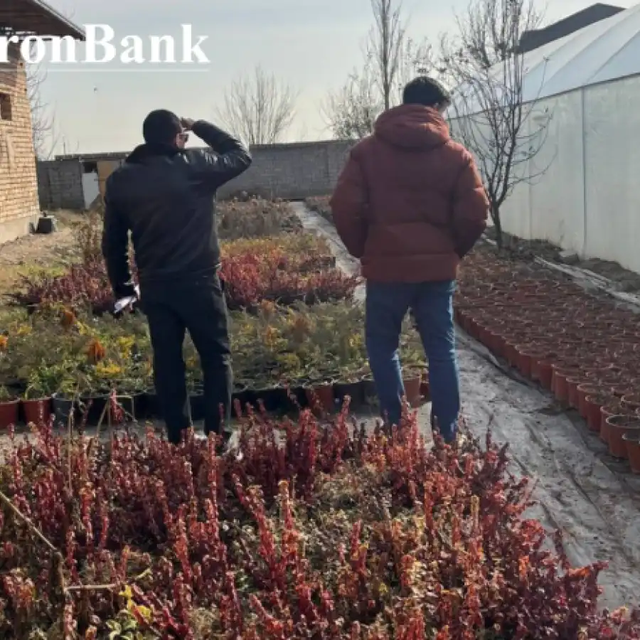 Mahalla bankirlari xonadonlardagi tadbirkorlik faoliyati bilan tanishmoqda