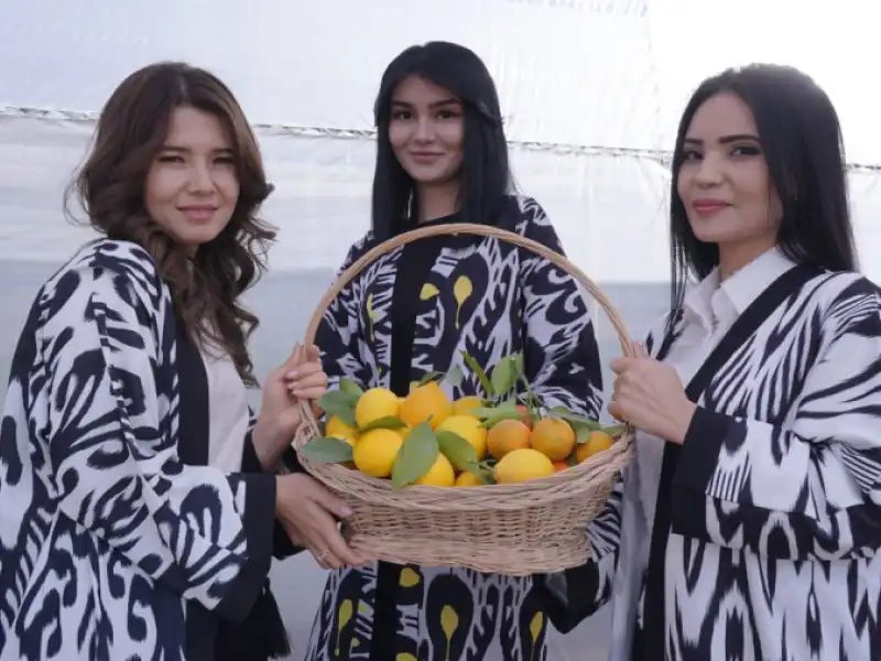 Yangi yo‘l tumanida “Limon hosili sayli” bo‘lib o‘tdi!