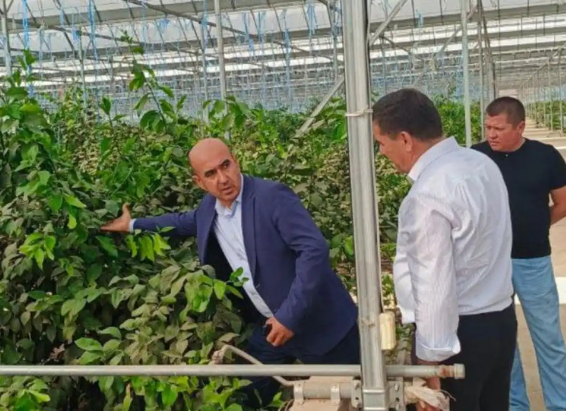 Qashqadaryoda sanoat va xizmat ko‘rsatish sohasidagi yangi imkoniyatlar – e’tiborda!