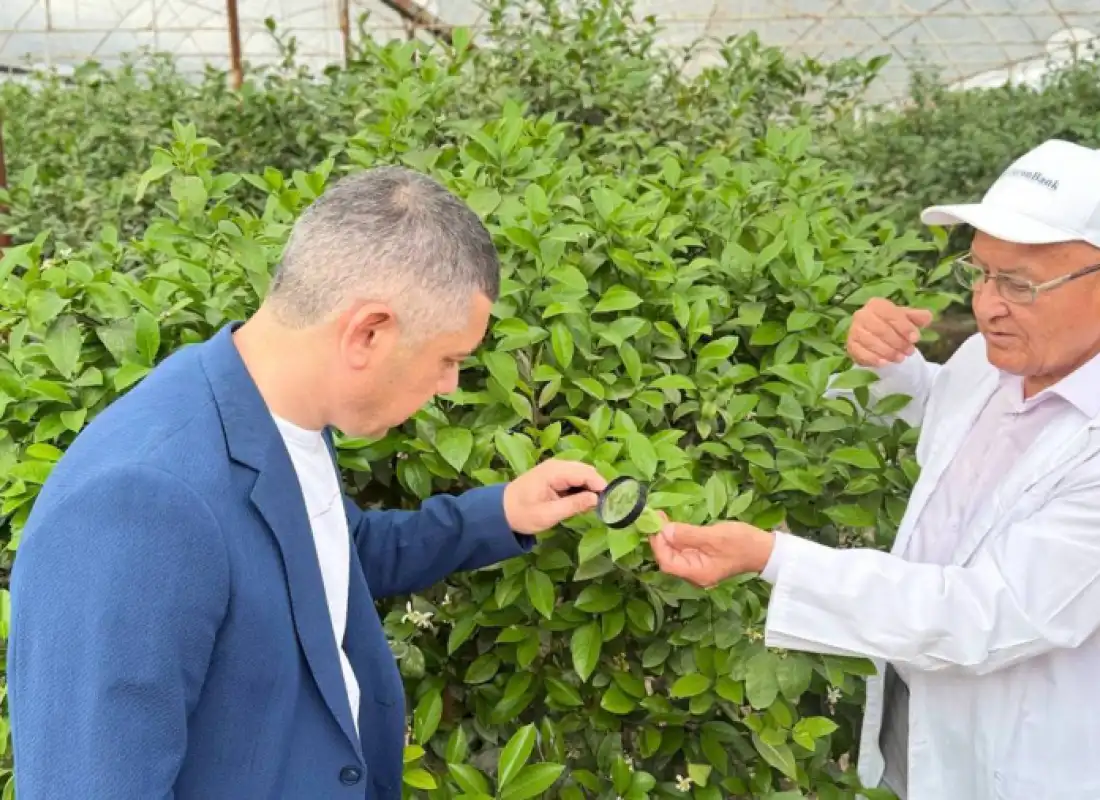 В Фергане организован практический семинар по развитию лимоноводства!