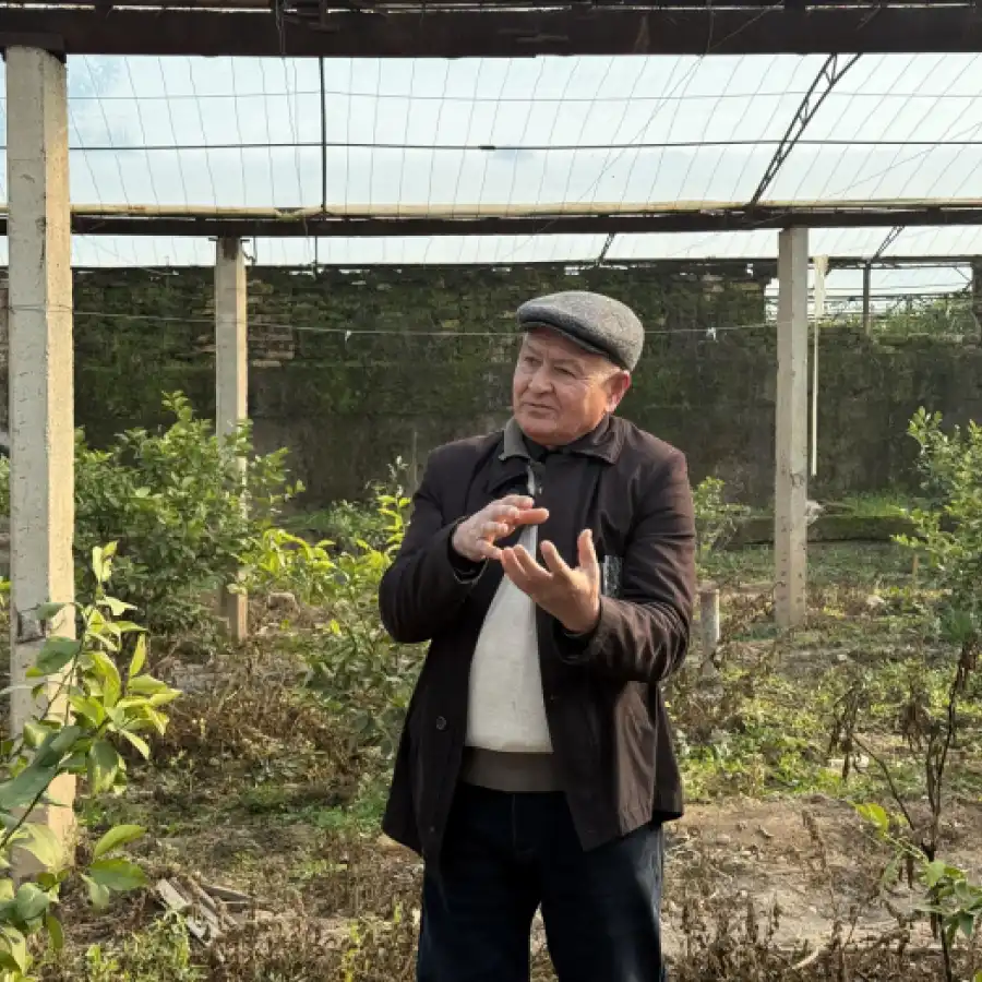 Denovda limon yetishtirish boʻyicha mashgʻulot oʻtkazildi