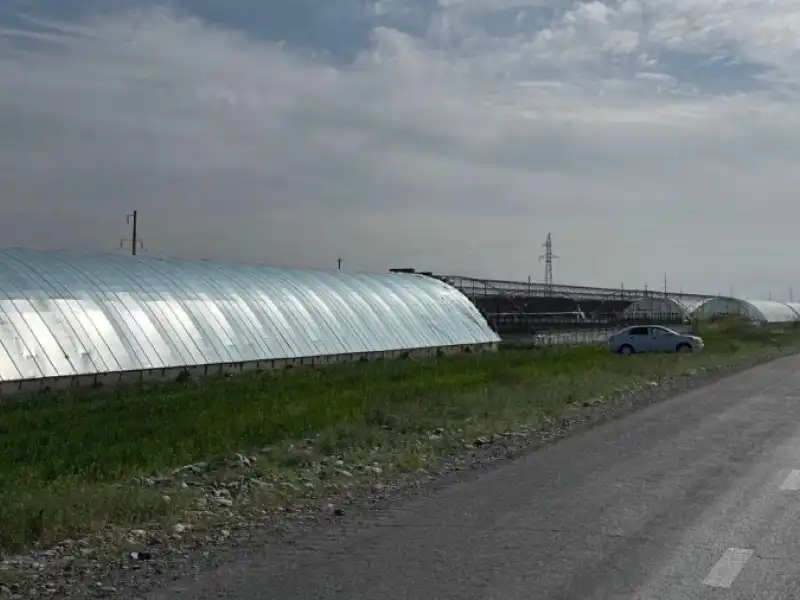 Farg‘onada issiqxona loyihalari jadallik bilan rivojlanmoqda