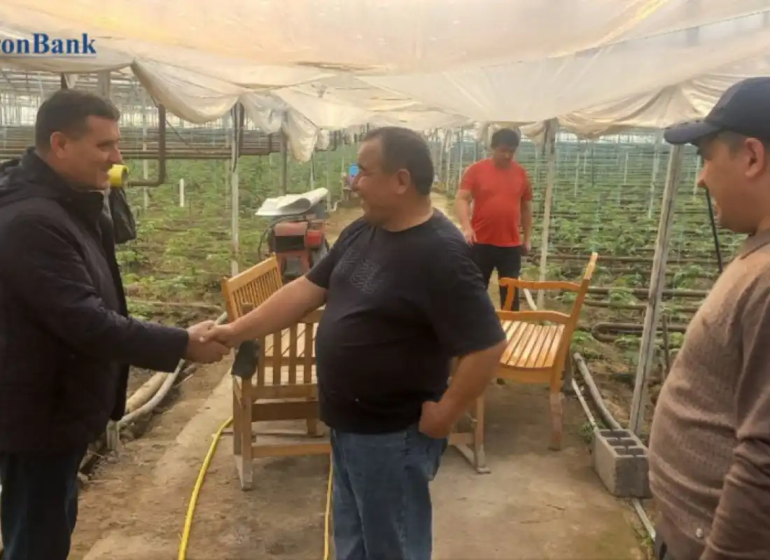 Limonchilik — barqaror daromad manbai!