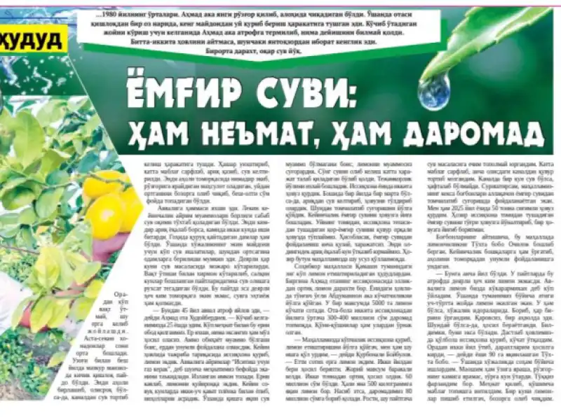 Yomg‘ir suvi: ham ne’mat, ham daromad