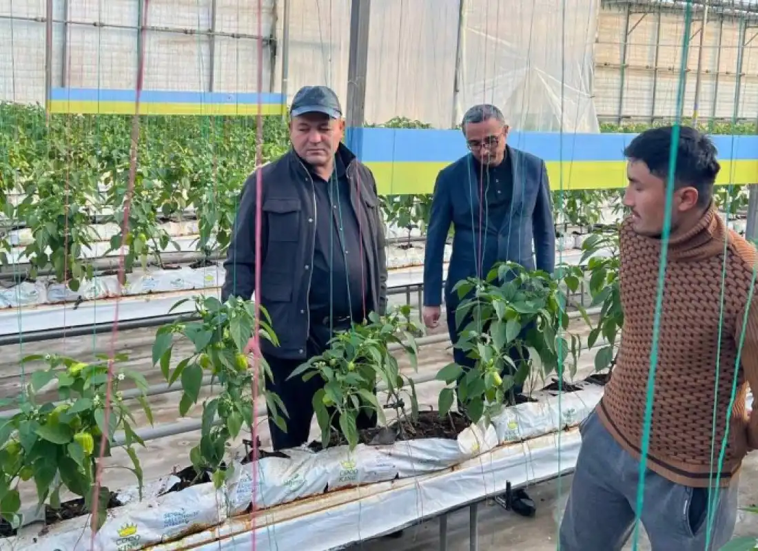 Tadbirkorlar bilan bevosita joyida!