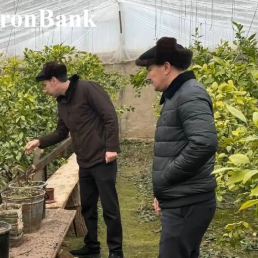 Yangibozor tumanida mahalla bankiri ish boshladi