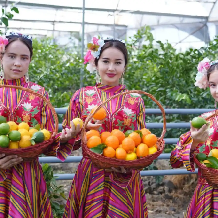 Kattaqo‘rg‘onda limonchilar uchrashuvi bo‘lib o‘tmoqda