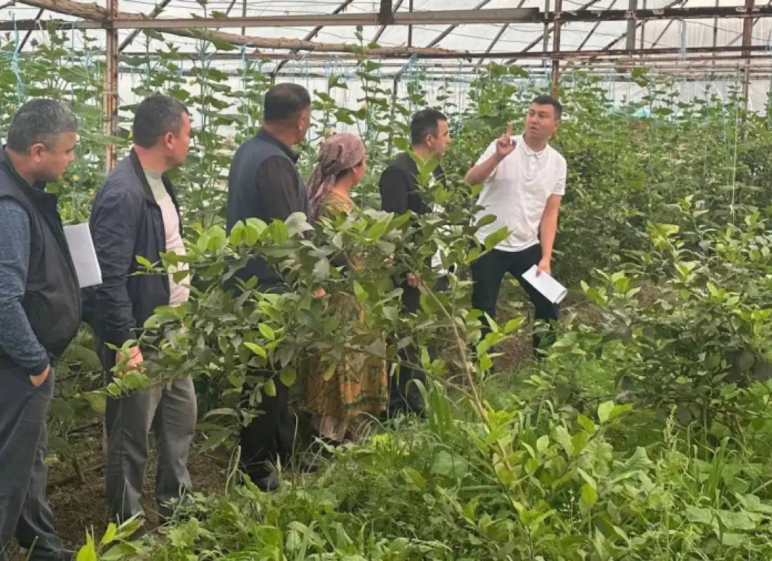 Представители АКБ "Туронбанк" встретились с предпринимателями в Сырдарьинской области!