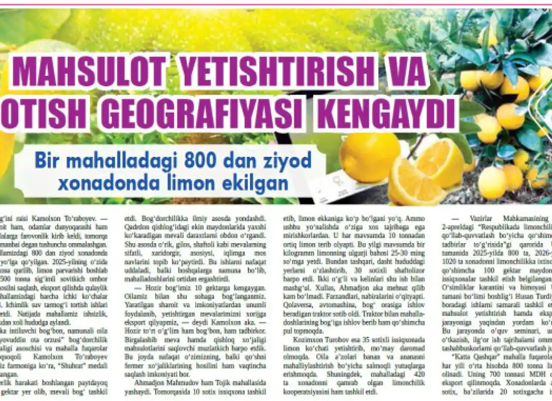 Расширяется география выращивания и реализации лимонной продукции