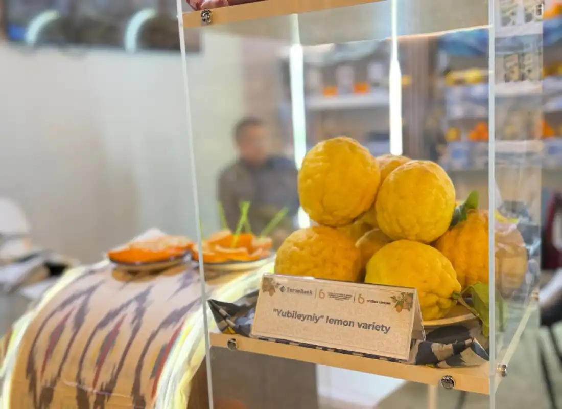 Продукция Узбекистана на международной продовольственной выставке "TUTTOFOOD 2026"!