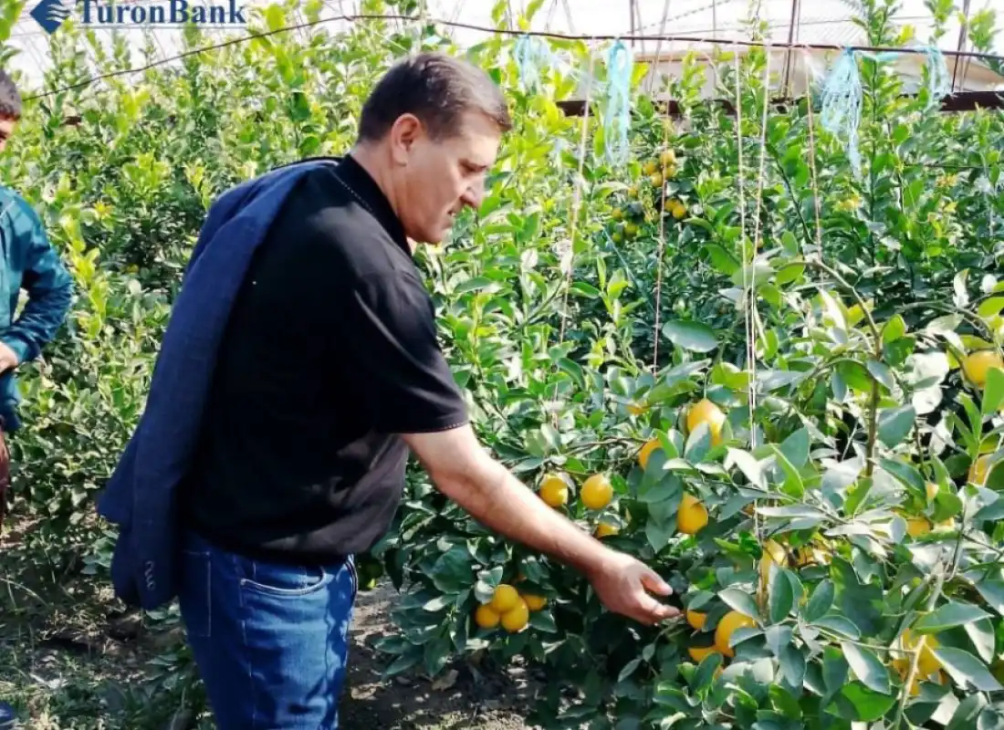 Председатель Правления Туронбанка ознакомился с проектами, реализуемыми в Ферганской области