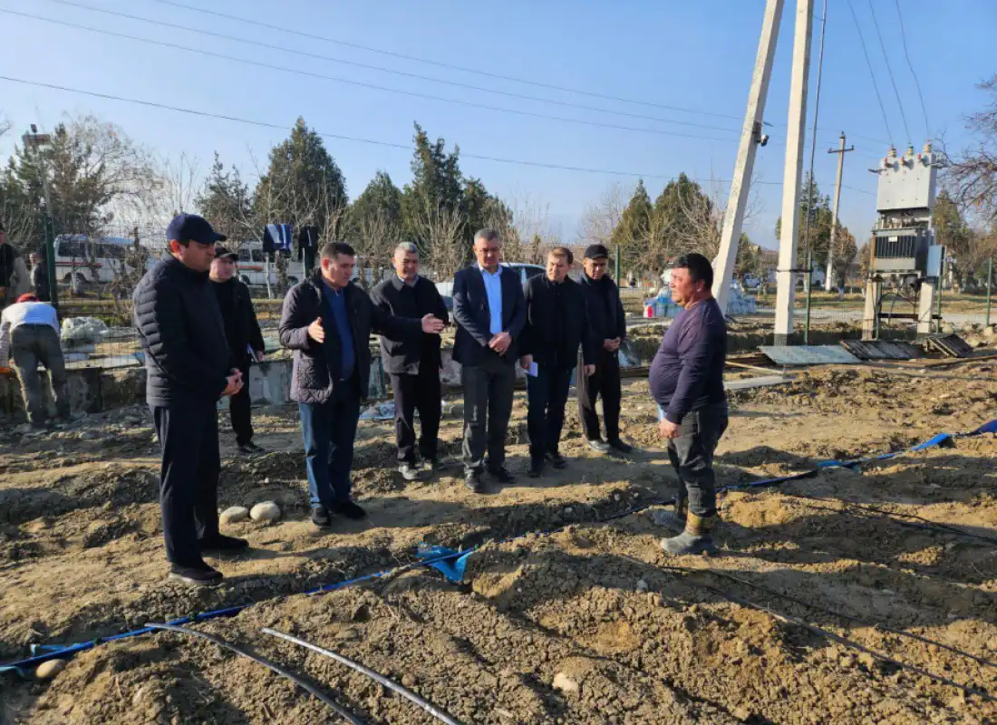 Farg‘ona tumanida zamonaviy malina plantatsiyasi loyihasi o‘rganildi