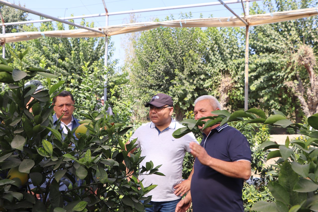 photo_2025-10-29_10-54-42.jpg photo_2025-10-29_10-54-42.jpg