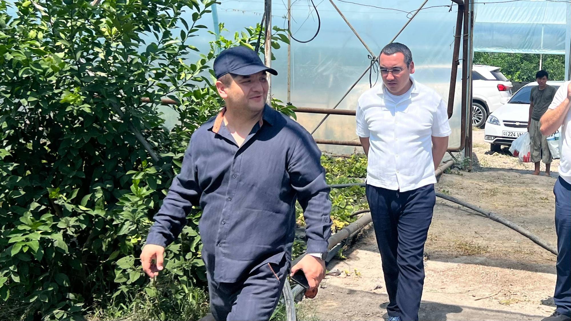 photo_2_2026-07-14_17-07-17.jpg photo_2_2026-07-14_17-07-17.jpg