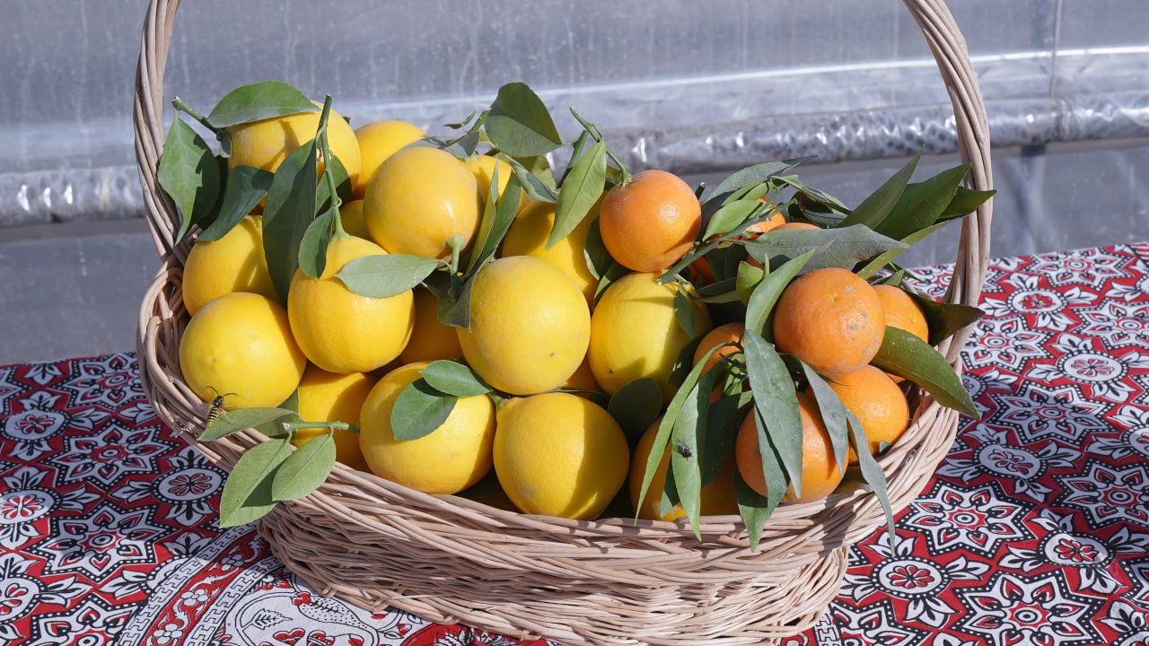 photo_7_2025-11-04_17-47-45.jpg photo_7_2025-11-04_17-47-45.jpg