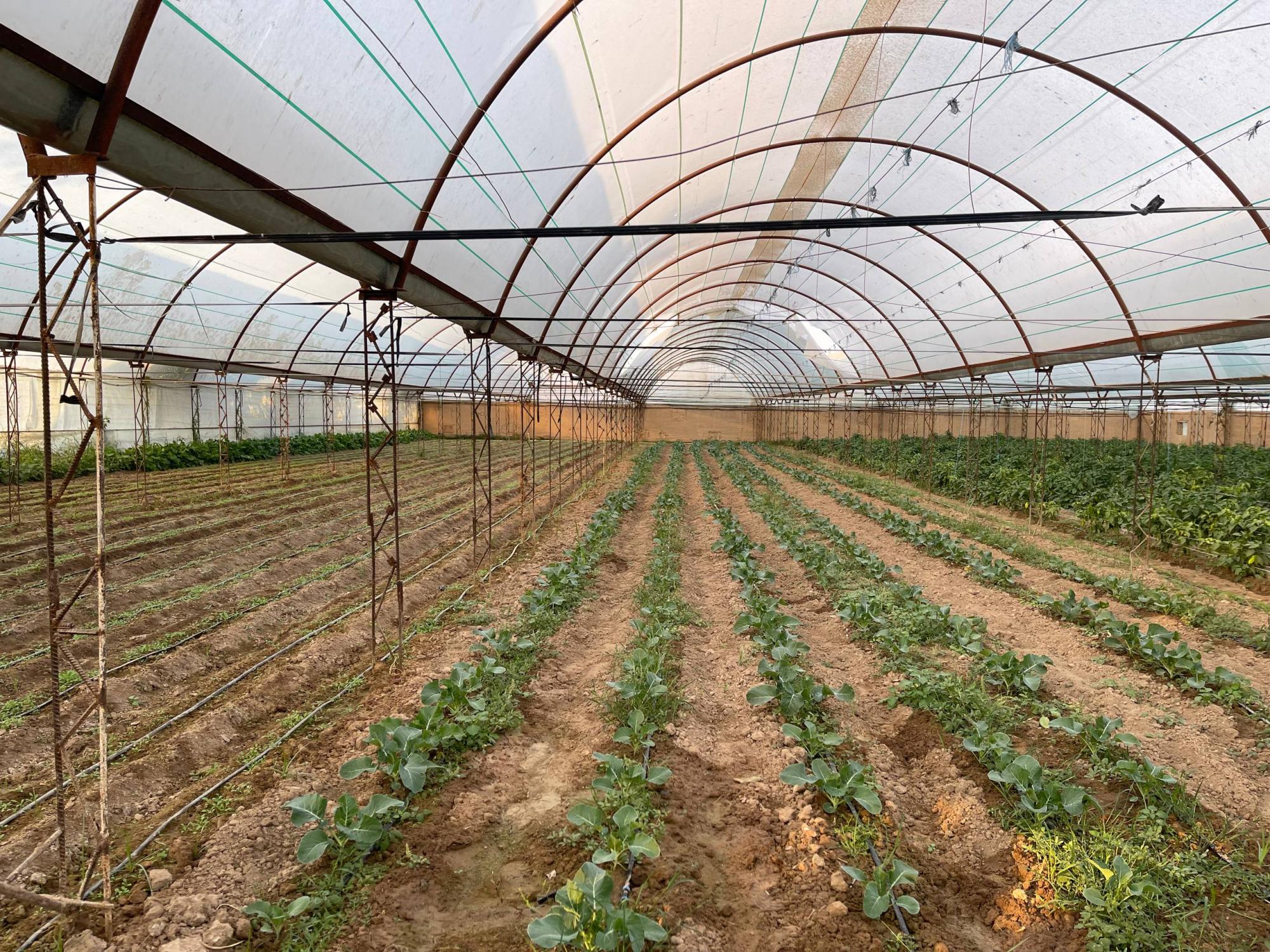 photo_2025-10-29_15-26-19.jpg photo_2025-10-29_15-26-19.jpg