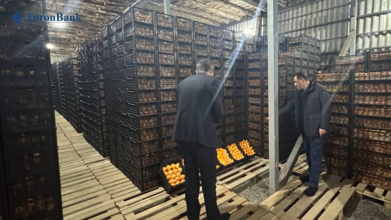 photo_4_2026-03-02_16-29-32.jpg photo_4_2026-03-02_16-29-32.jpg