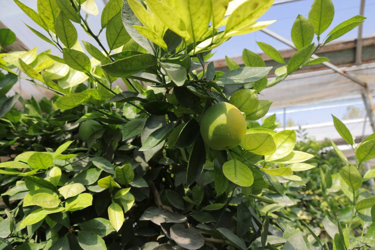 photo_2025-10-29_10-54-46 (2).jpg photo_2025-10-29_10-54-46 (2).jpg