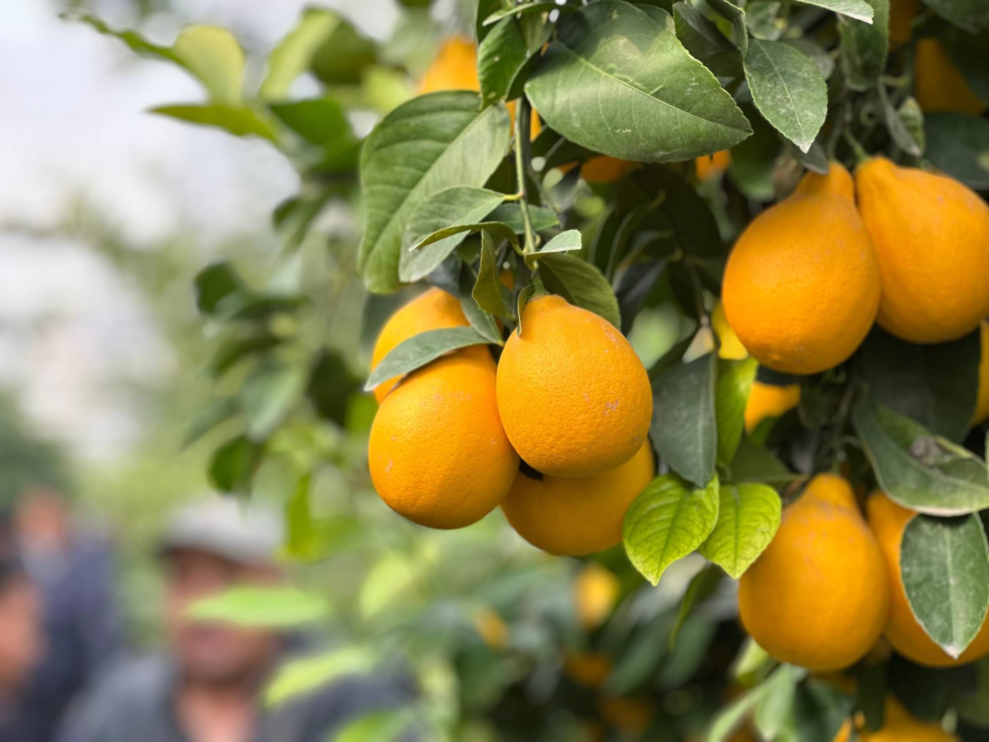 photo_1_2025-11-04_17-42-04.jpg photo_1_2025-11-04_17-42-04.jpg