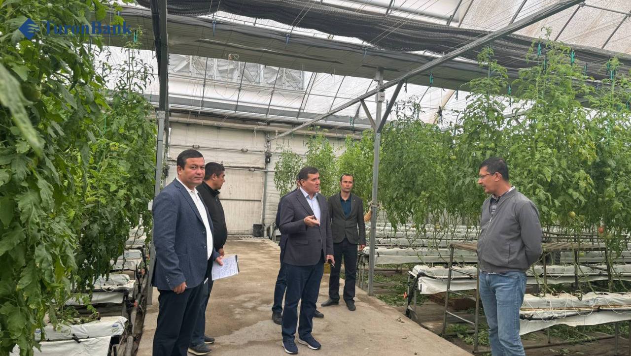 photo_2025-10-29_11-24-53.jpg photo_2025-10-29_11-24-53.jpg