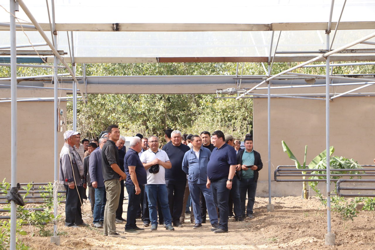 photo_2025-10-29_10-54-47 (2).jpg photo_2025-10-29_10-54-47 (2).jpg