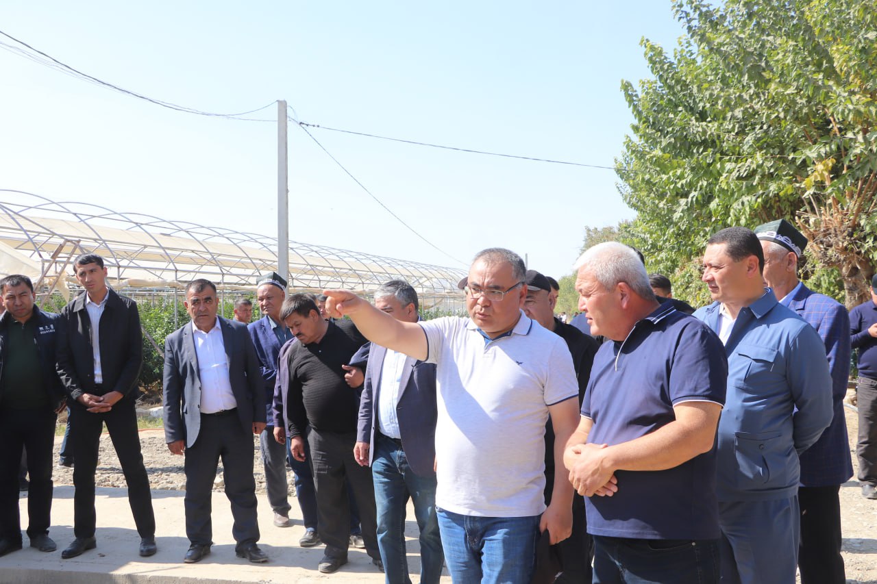 photo_2025-10-29_10-54-44.jpg photo_2025-10-29_10-54-44.jpg