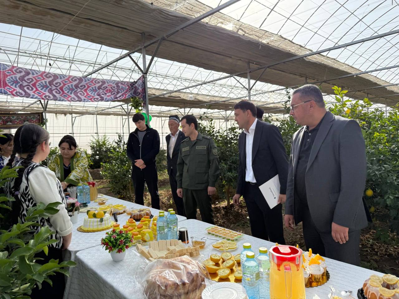 photo_8_2025-11-04_18-09-50.jpg photo_8_2025-11-04_18-09-50.jpg