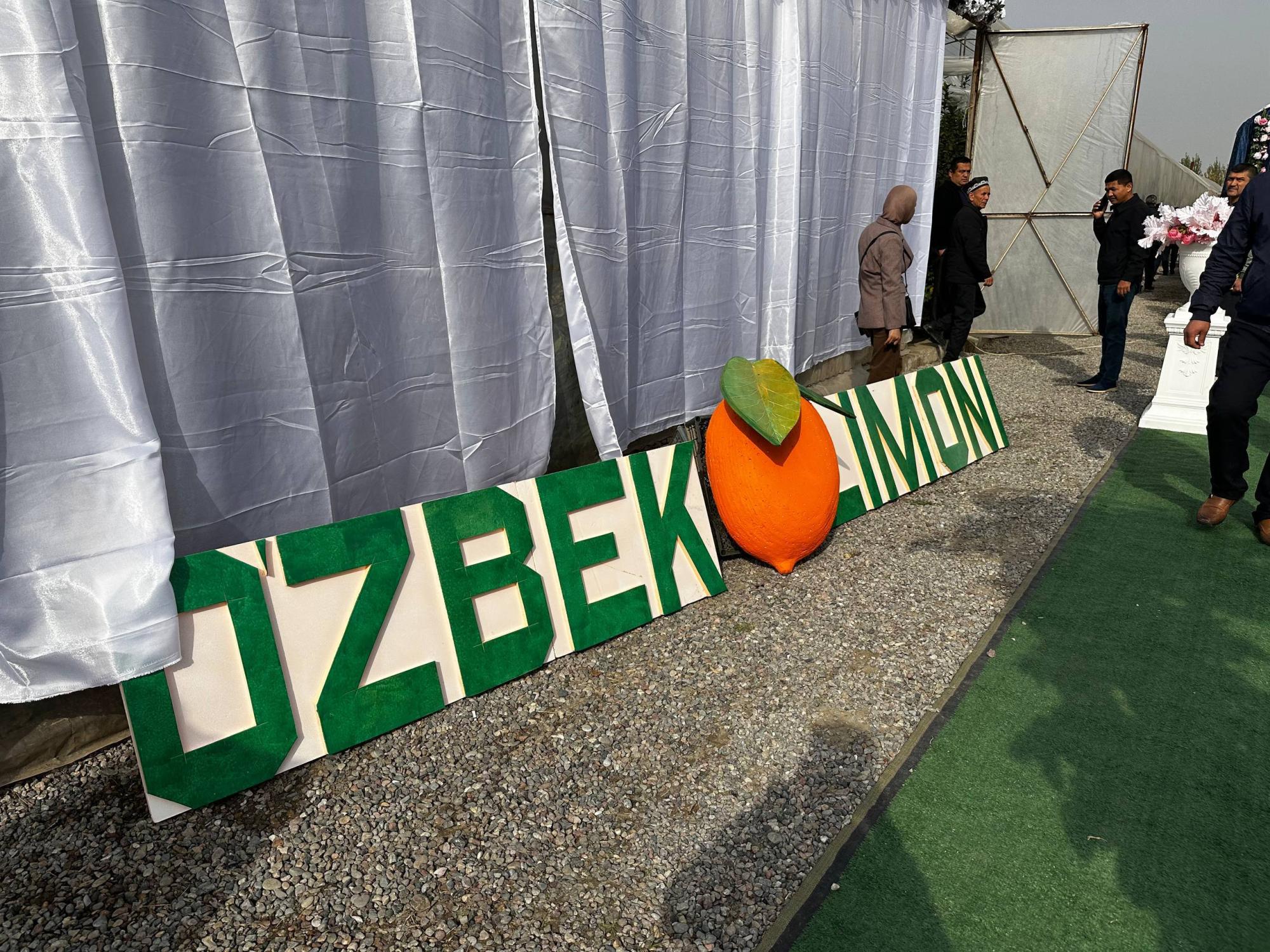 photo_2_2025-11-04_17-42-04.jpg photo_2_2025-11-04_17-42-04.jpg