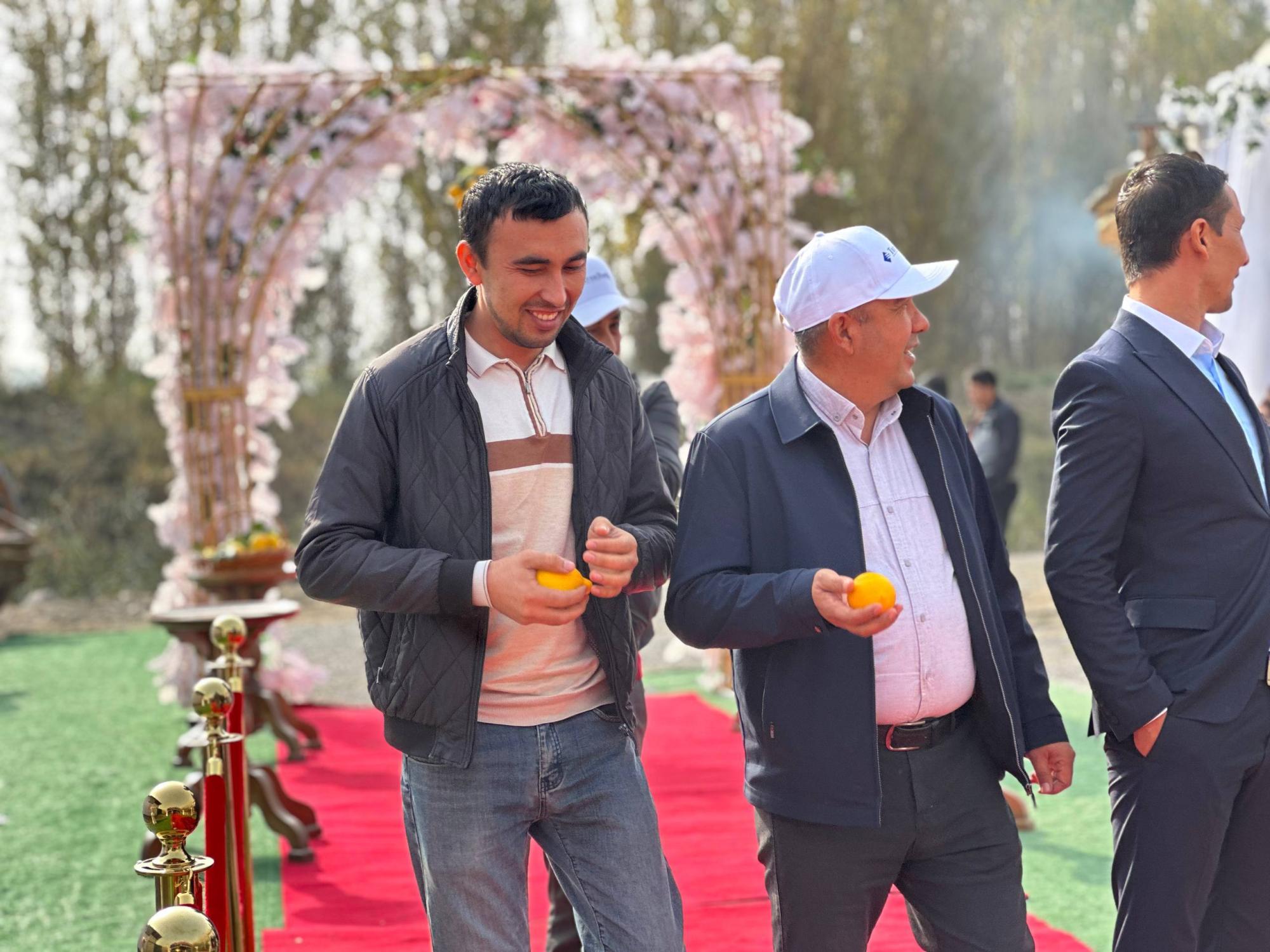 photo_3_2025-11-04_17-42-04.jpg photo_3_2025-11-04_17-42-04.jpg