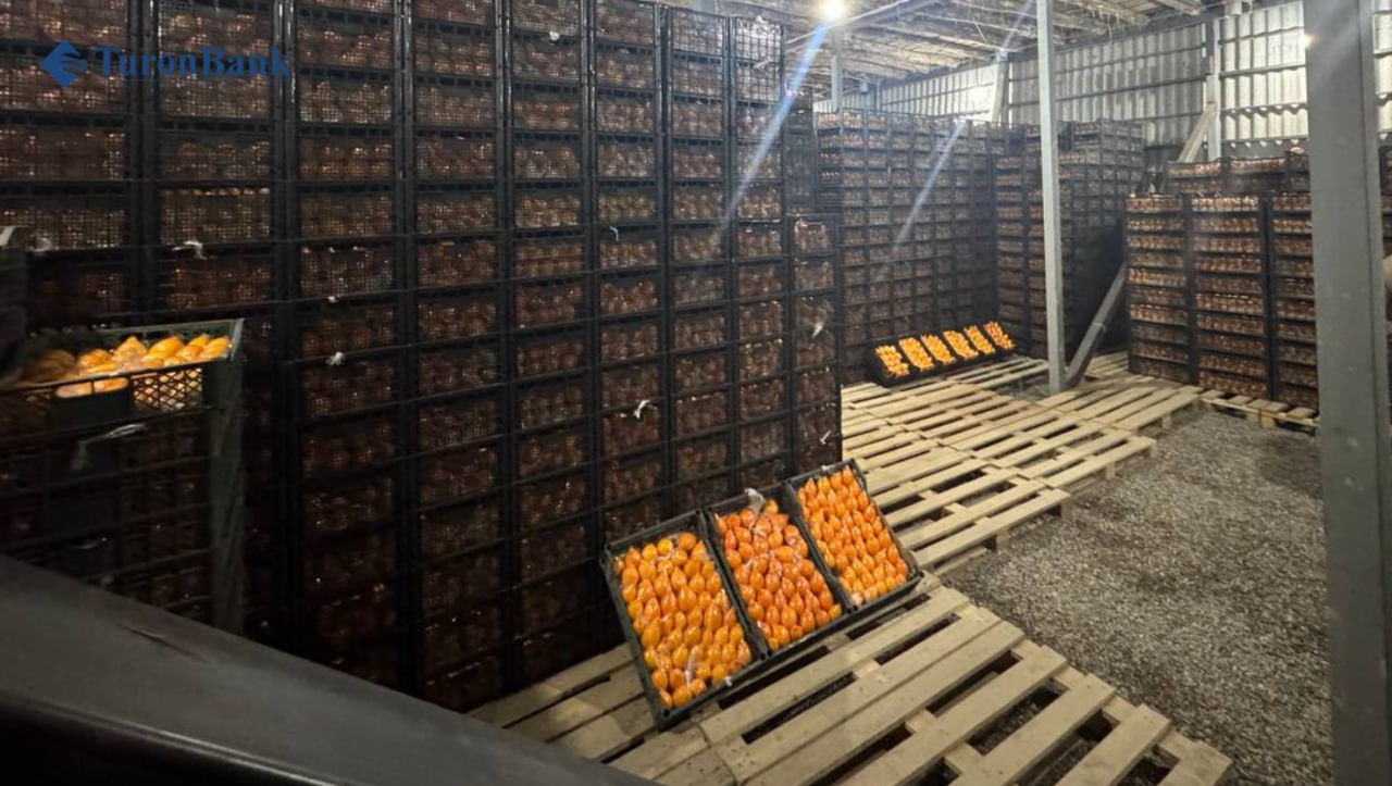 photo_5_2026-03-02_16-29-32.jpg photo_5_2026-03-02_16-29-32.jpg