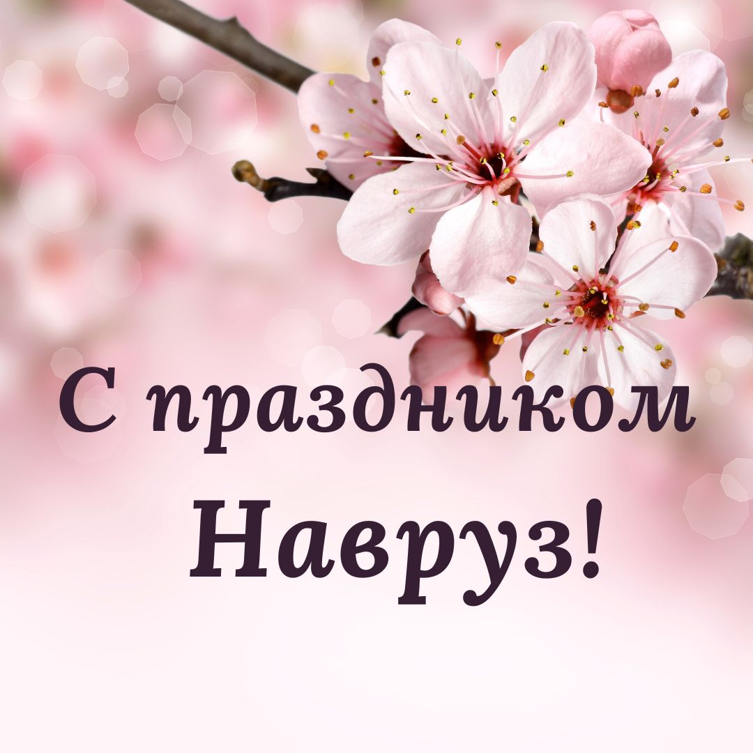 Pink Spring Flowers Blossom Inspirational Quote Instagram Post.jpg