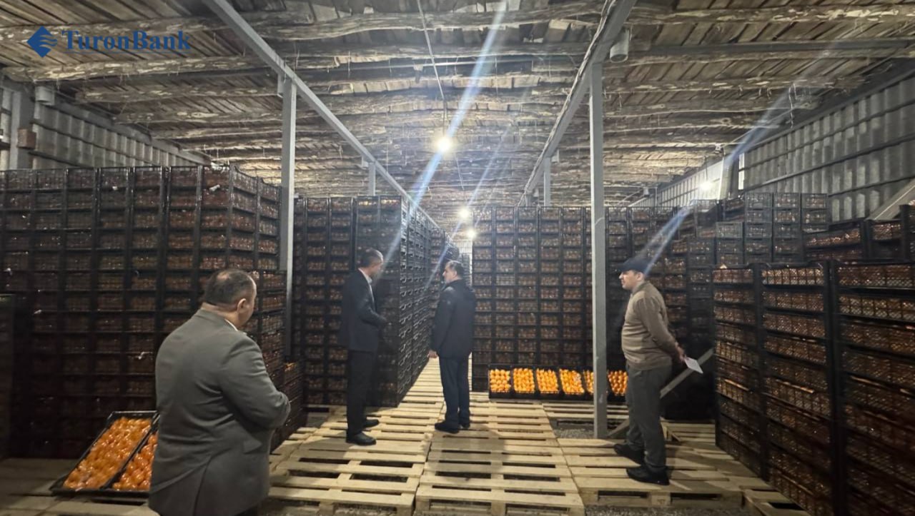 photo_3_2026-03-02_16-29-32.jpg photo_3_2026-03-02_16-29-32.jpg