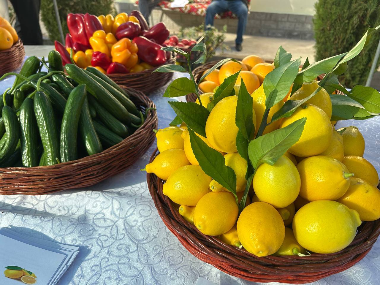 photo_3_2025-11-05_16-04-15.jpg photo_3_2025-11-05_16-04-15.jpg