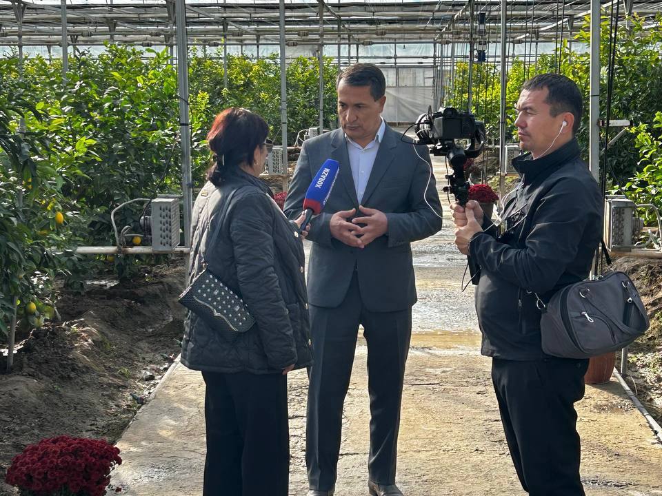 photo_4_2025-11-05_16-04-15.jpg photo_4_2025-11-05_16-04-15.jpg