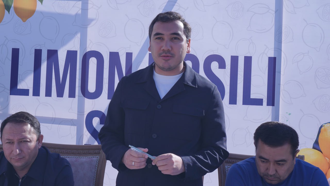 photo_2_2025-11-04_17-47-45.jpg photo_2_2025-11-04_17-47-45.jpg