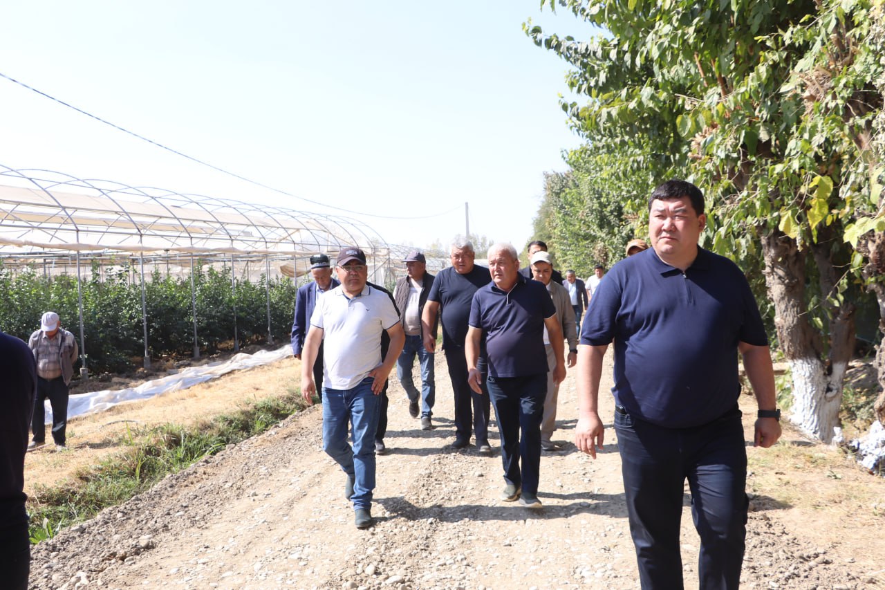 photo_2025-10-29_10-54-43.jpg photo_2025-10-29_10-54-43.jpg