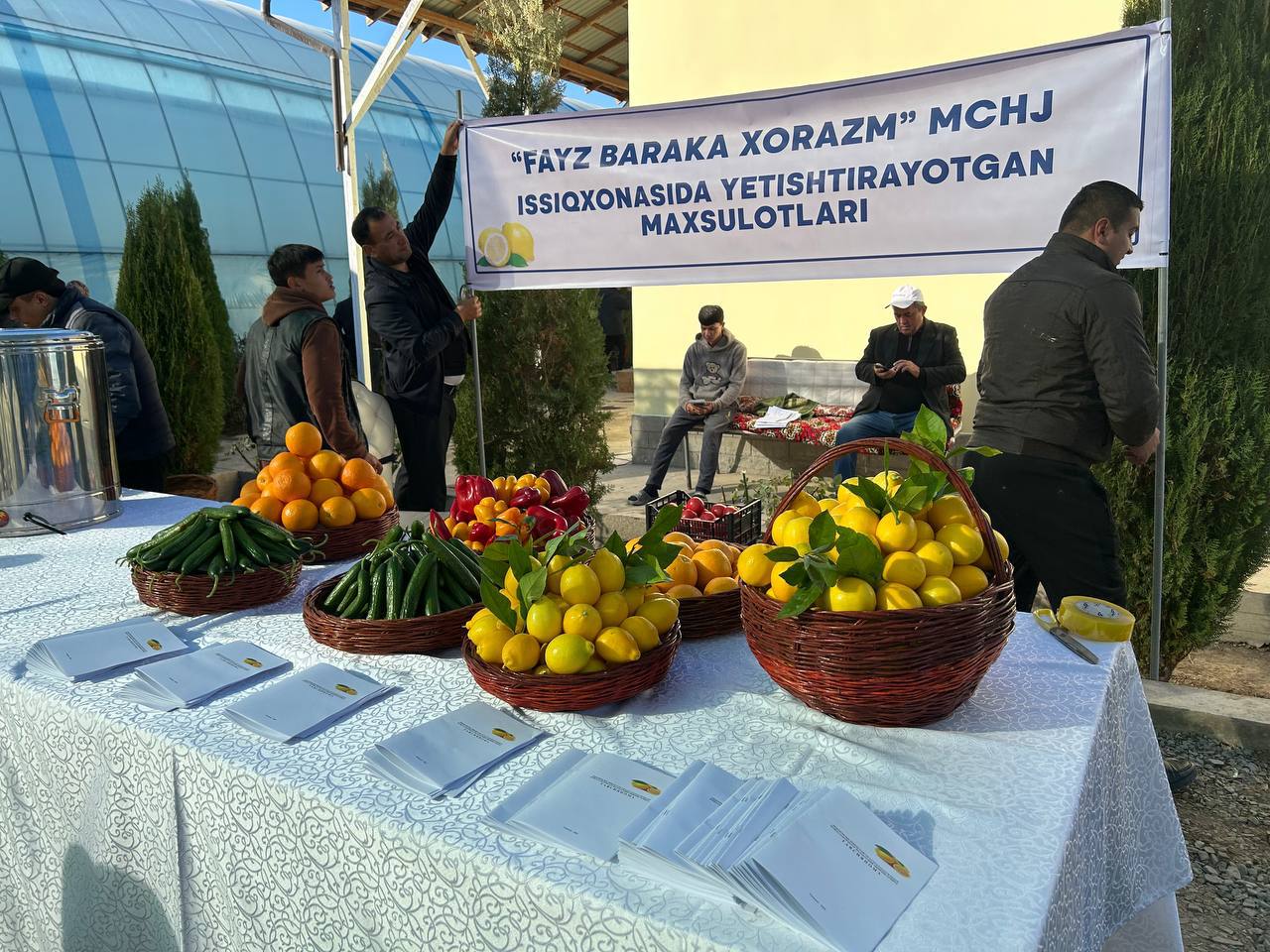 photo_2_2025-11-05_16-04-15.jpg photo_2_2025-11-05_16-04-15.jpg